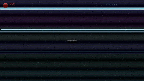 周末随拍记录 - 老司机带带我免费视频 原创视频